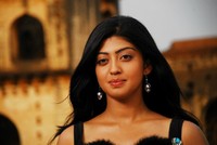 Pranitha Latest Hot Photos